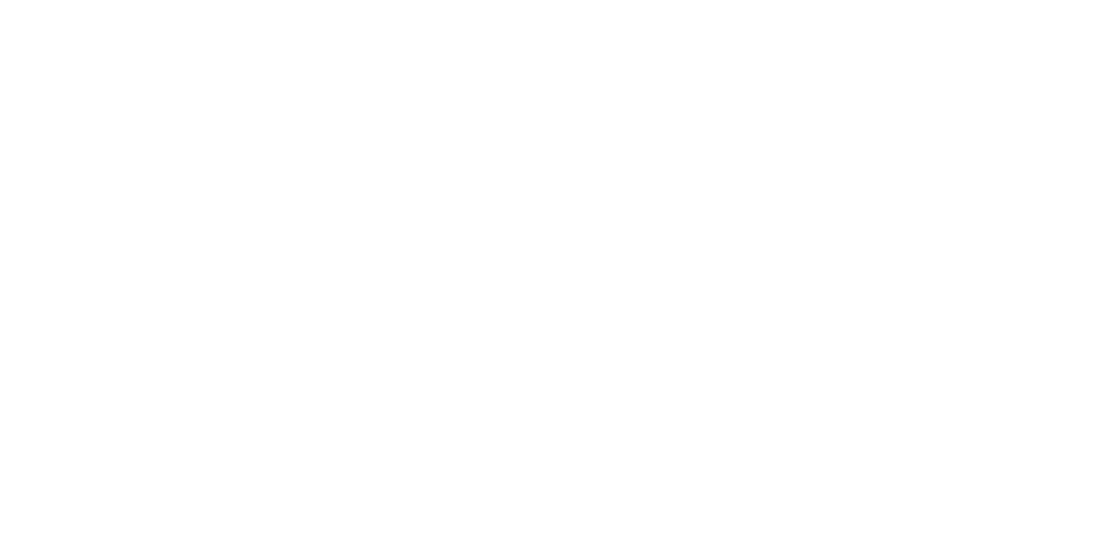 Bharat-net logo